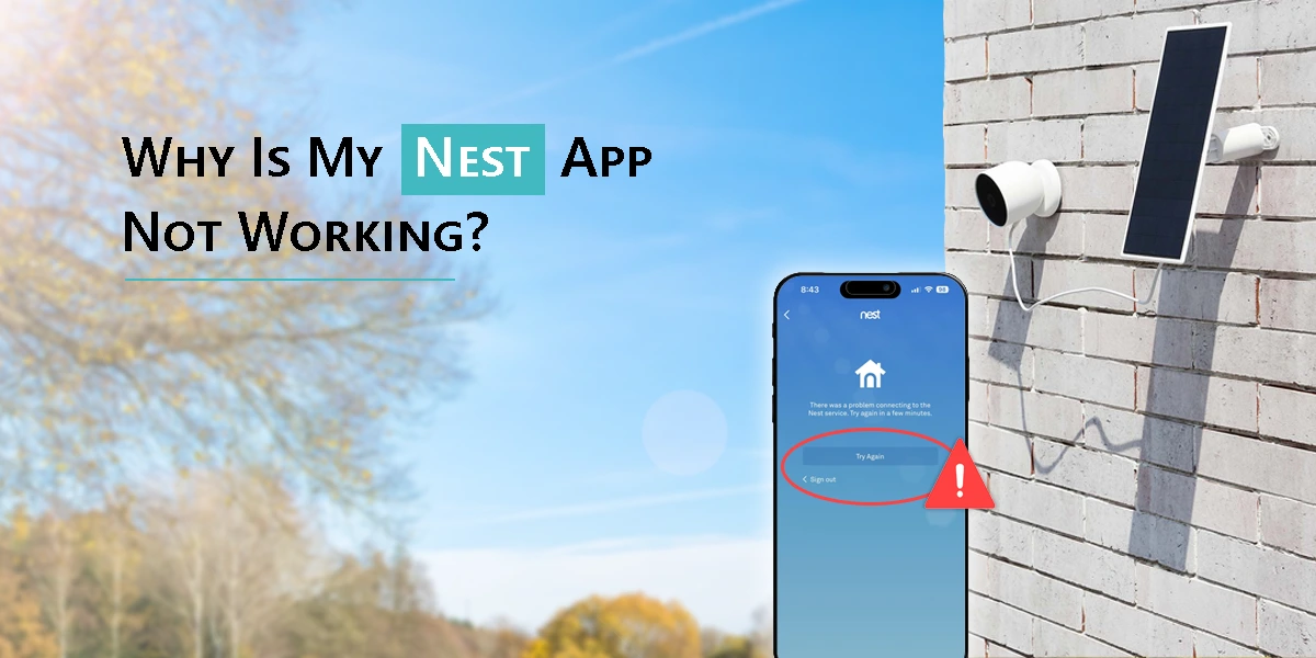 Why Is My Nest App Not Working?